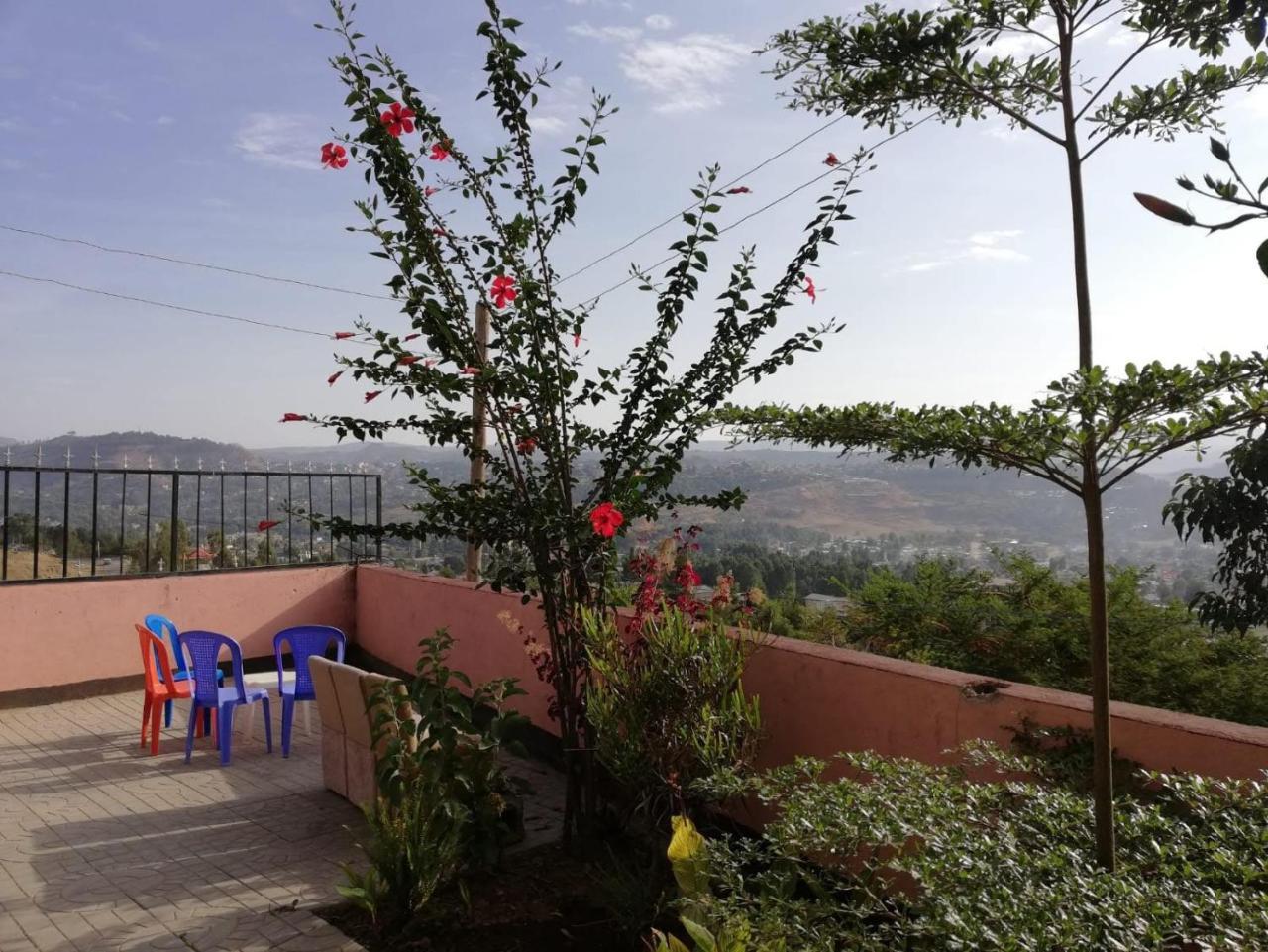 Хостел Gondar Backpackers Екстер'єр фото